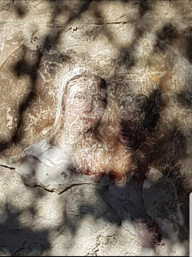 Chambre D'Hote Geiko Cabrieres-d'Aigues Exteriör bild